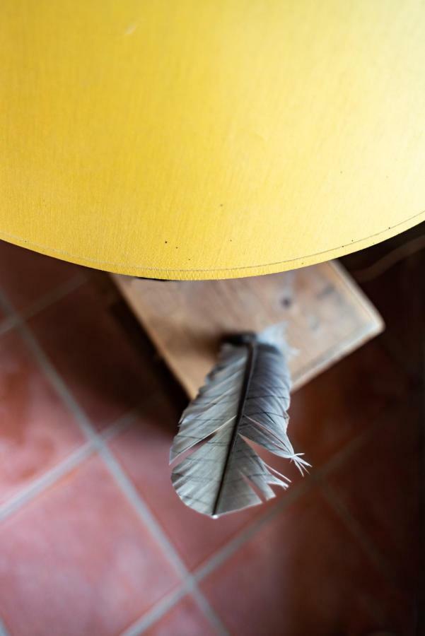 Mas De L'Arrivette Bed & Breakfast Saint-Genies-de-Comolas ภายนอก รูปภาพ